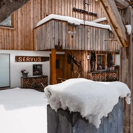 Bauernlodge Alpin 公寓 *